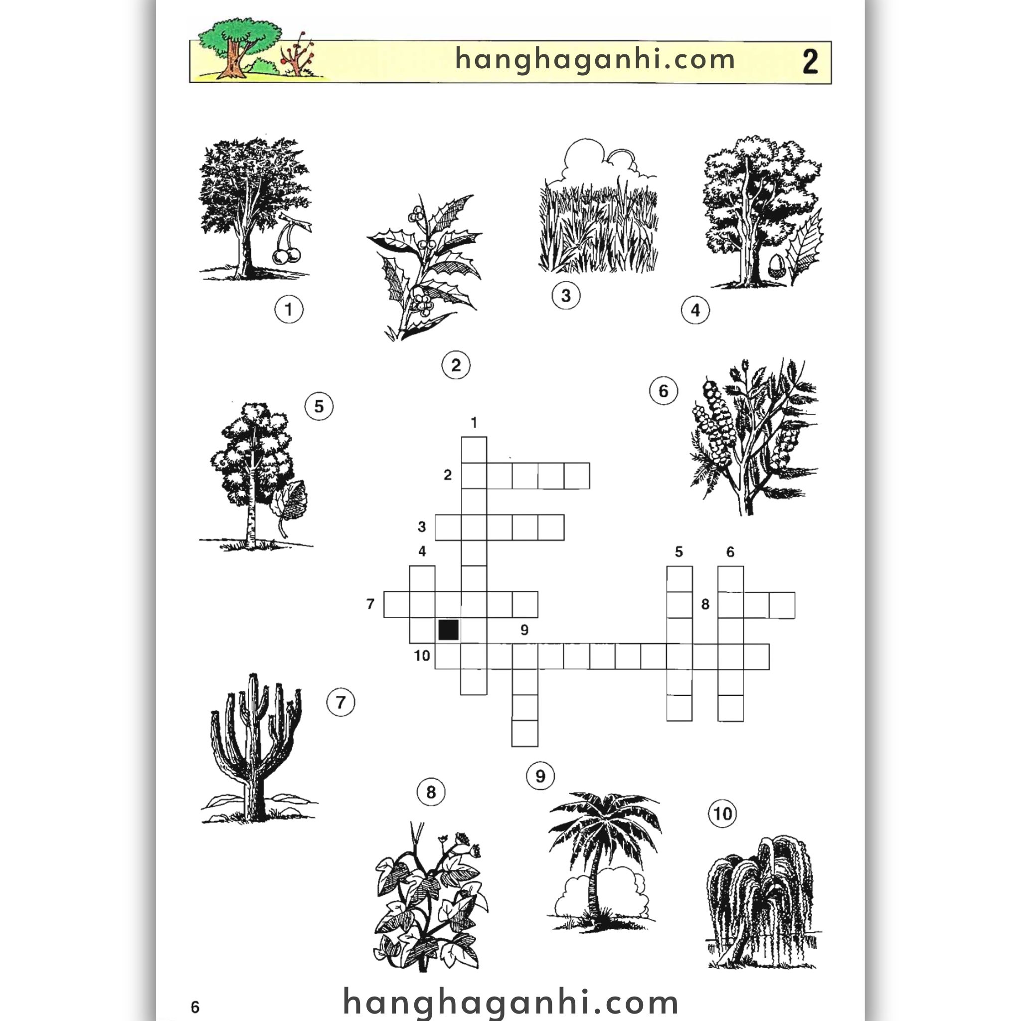 English With Crosswords (Crossword Puzzle Book 3) – Advanced, Sách học từ vựng_thumbnail_1
