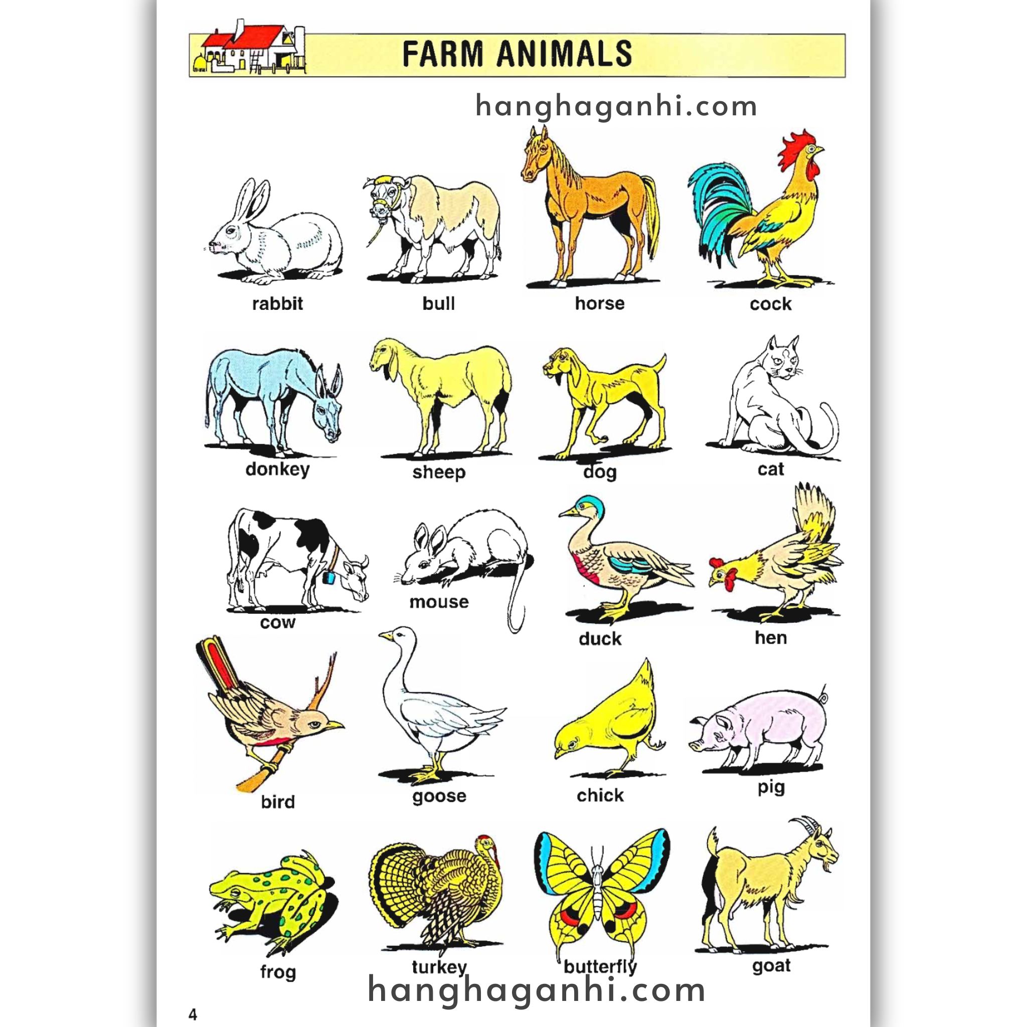 English With Crosswords (Crossword Puzzle Book 1) – Beginners, Sách học từ vựng_thumbnail_9