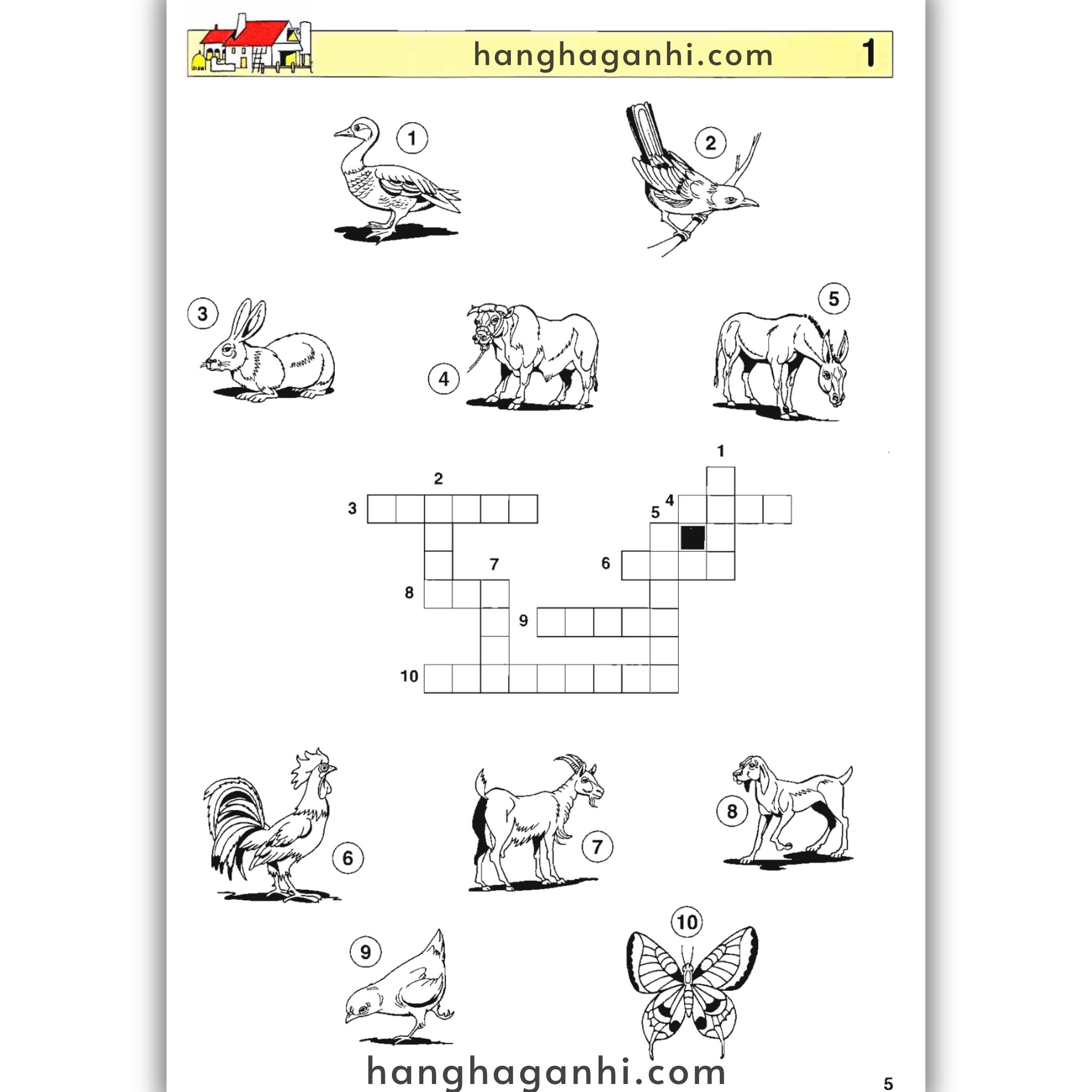 English With Crosswords (Crossword Puzzle Book 1) – Beginners, Sách học từ vựng_thumbnail_10