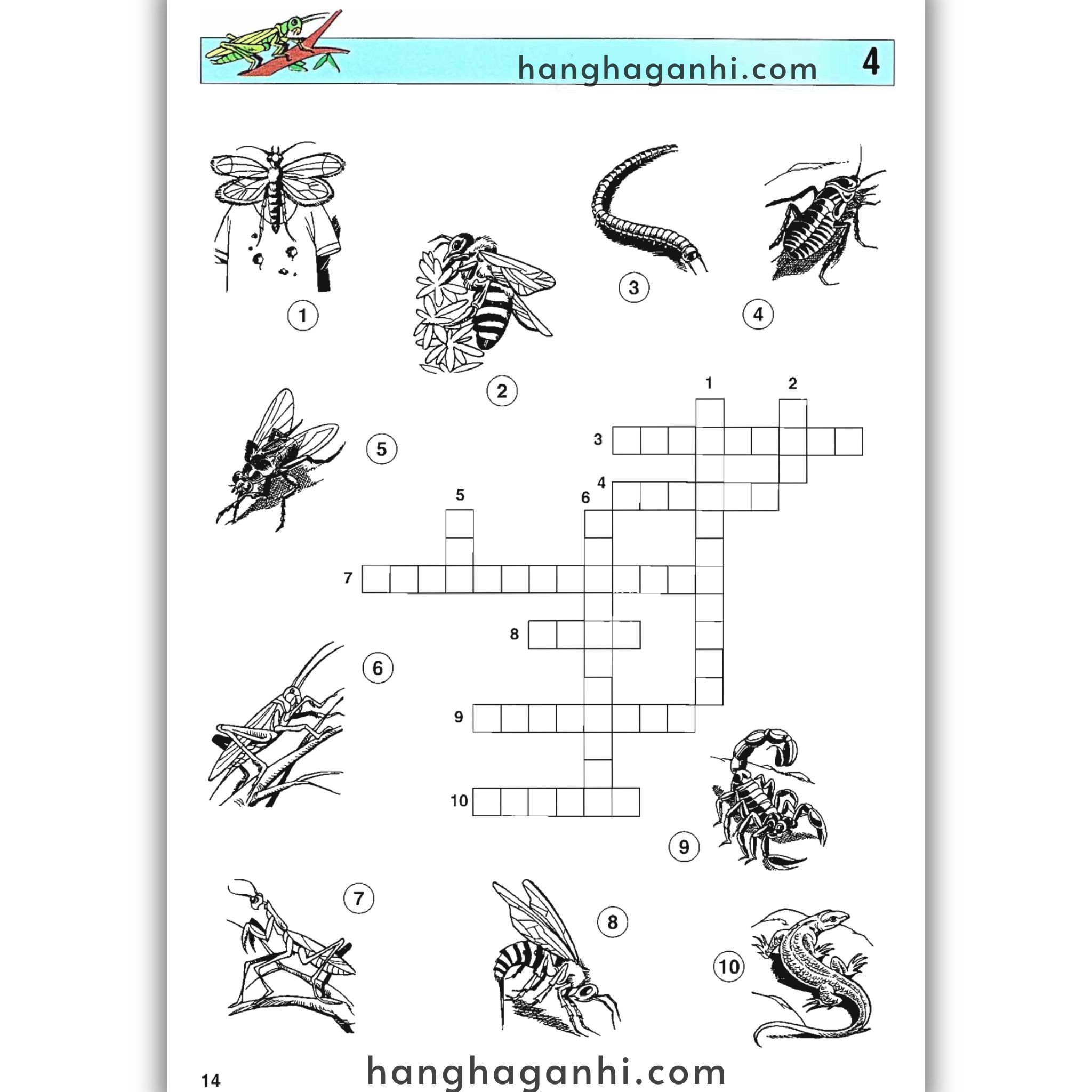 English With Crosswords (Crossword Puzzle Book 3) – Advanced, Sách học từ vựng_thumbnail_6