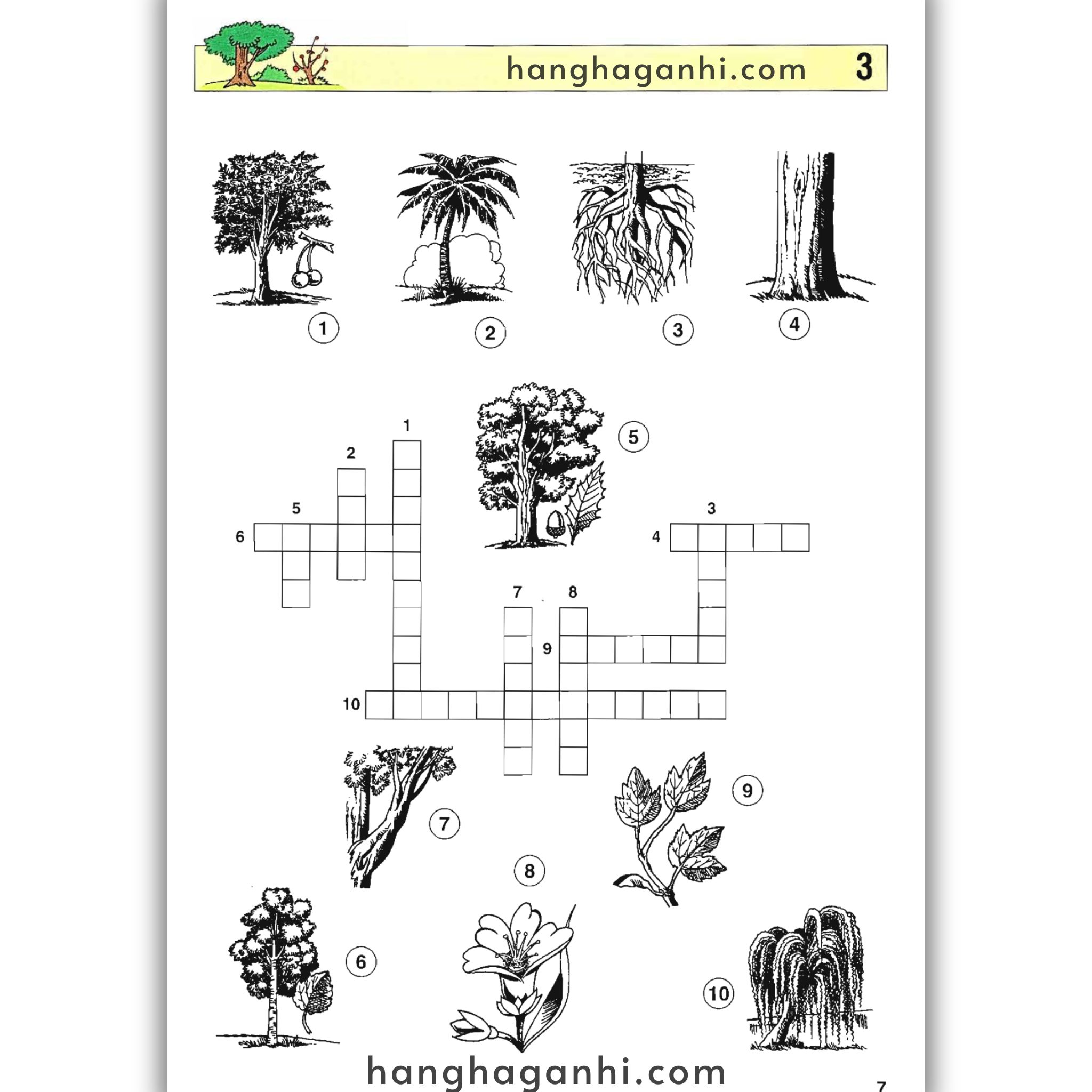 English With Crosswords (Crossword Puzzle Book 3) – Advanced, Sách học từ vựng_thumbnail_2