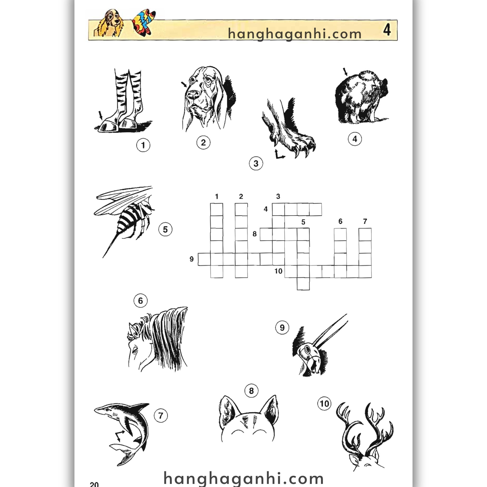 English With Crosswords (Crossword Puzzle Book 3) – Advanced, Sách học từ vựng_thumbnail_11