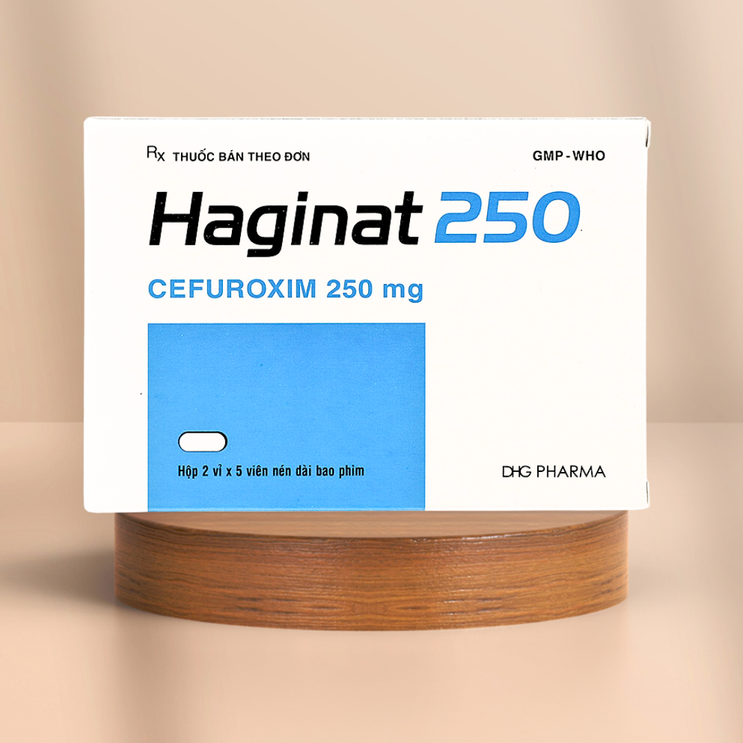 HAGINAT 250 DHG H/10V