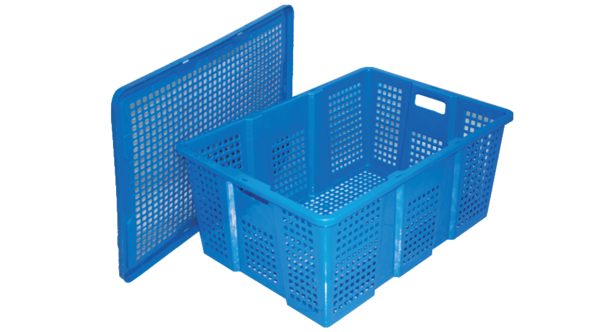 SÓNG TRÁI CÂY LOẠI 2