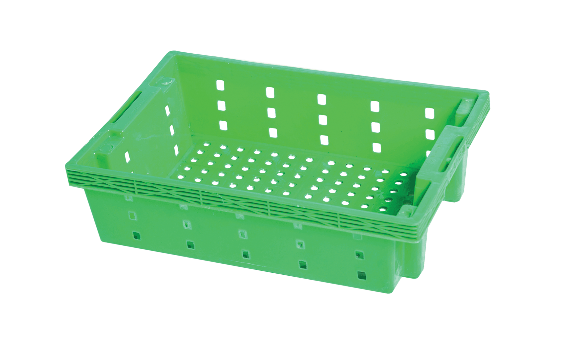 SÓNG CÁ S1_LOẠI 2