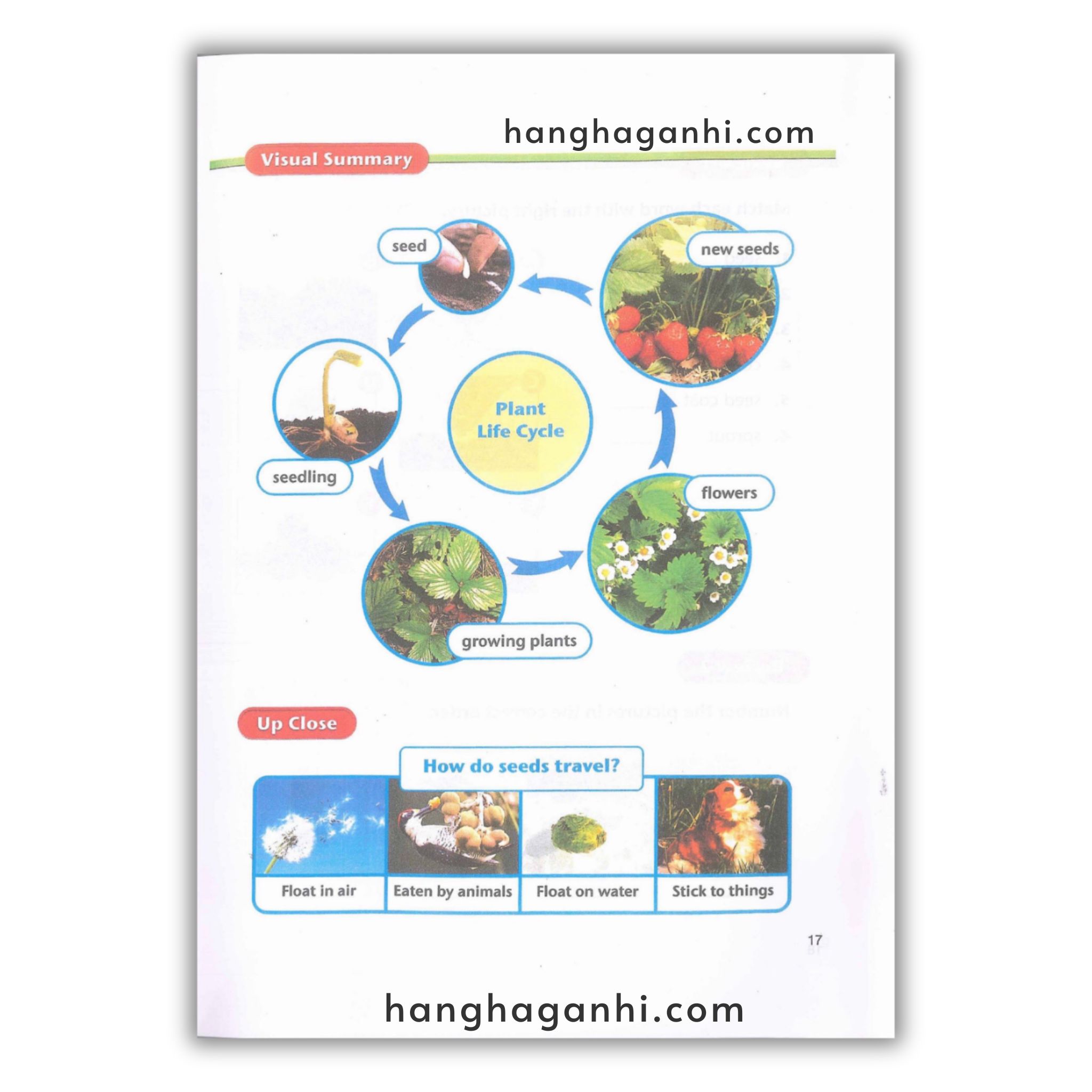 American Text Book Reading – Science bộ 4 quyển_thumbnail_6