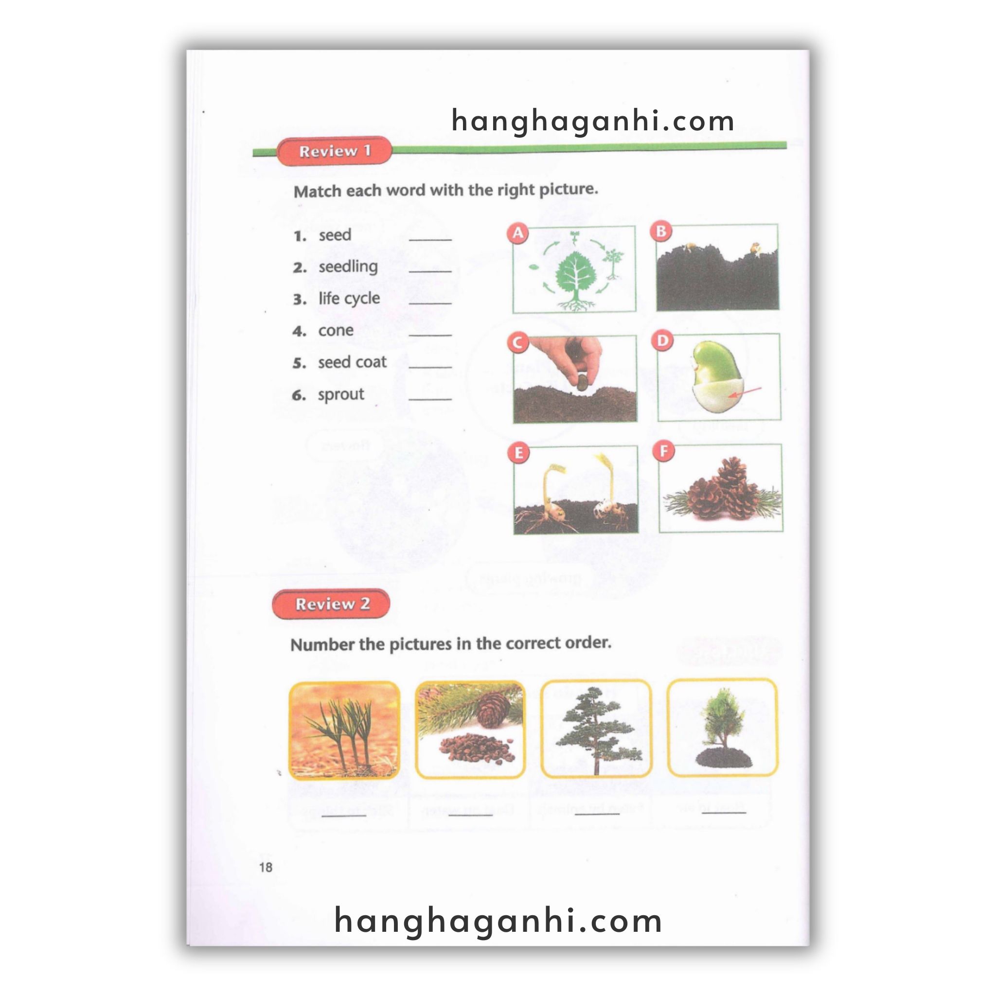 American Text Book Reading – Science bộ 4 quyển_thumbnail_7