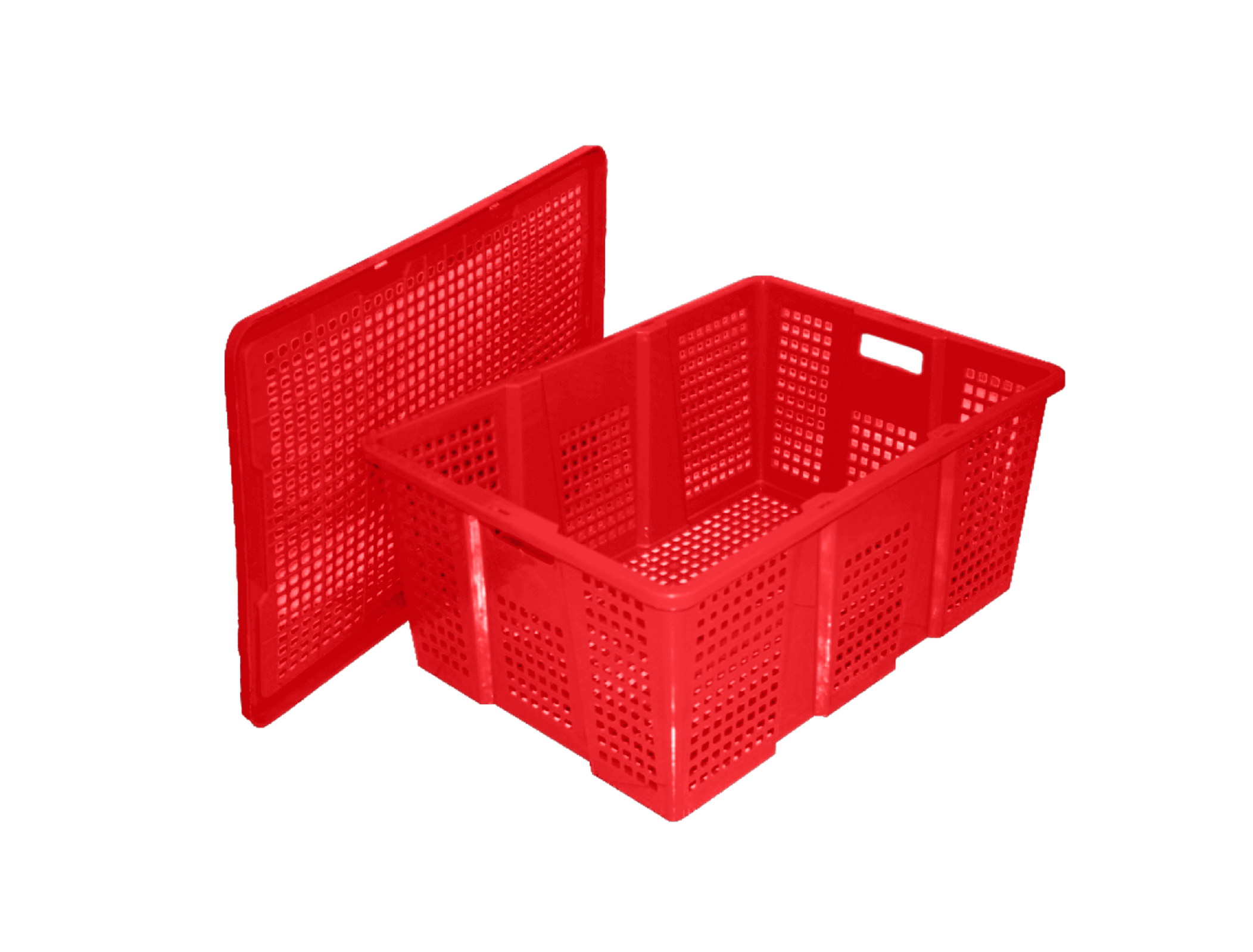 SÓNG TRÁI CÂY LOẠI 1