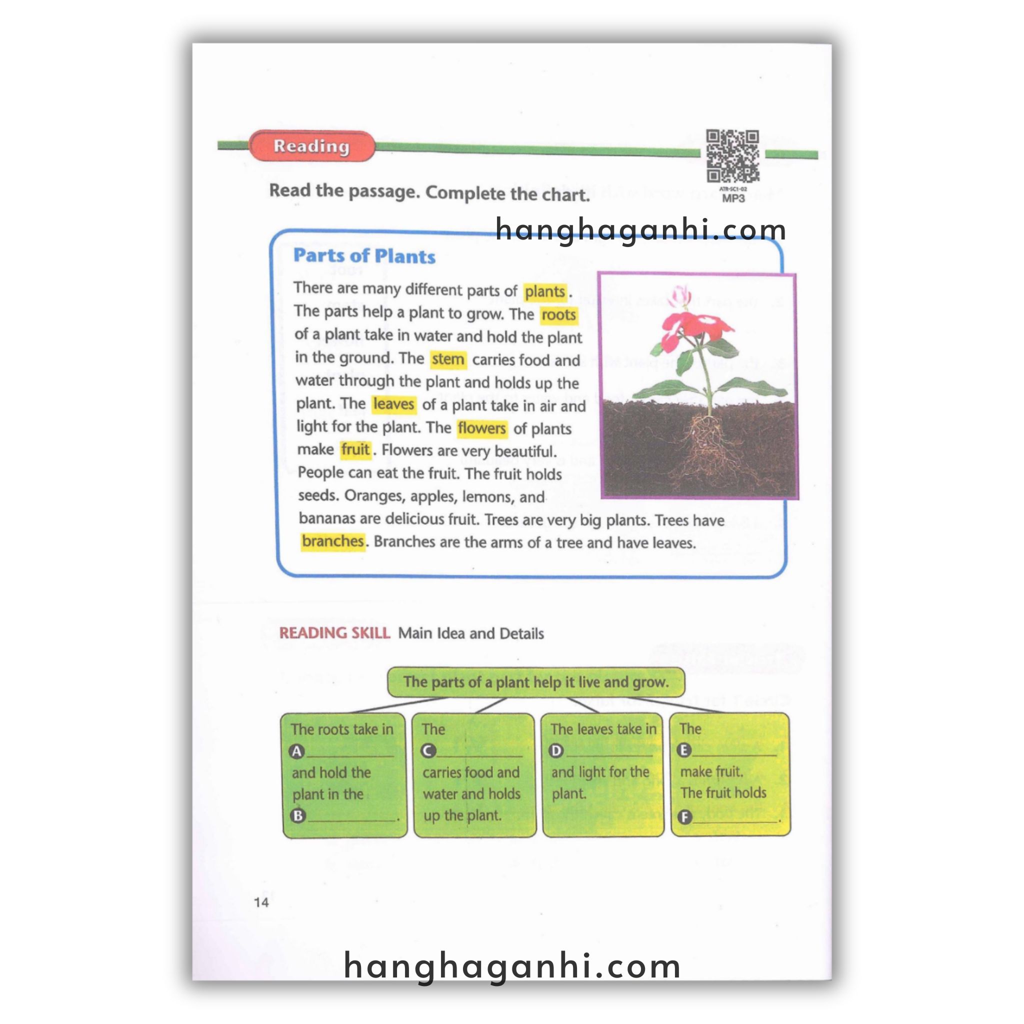 American Text Book Reading – Science bộ 4 quyển_thumbnail_15