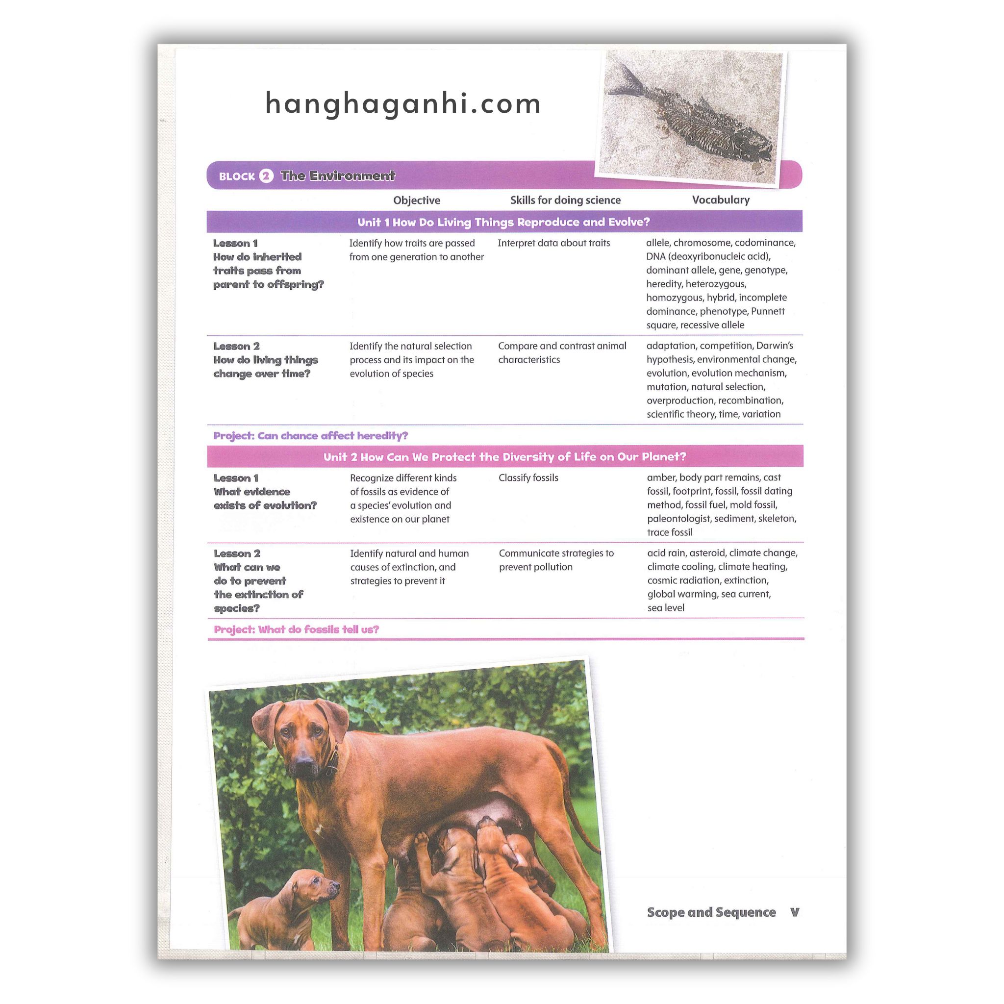 Oxford Discover Level 6 Science Student Book 2Nd Edition_thumbnail_4