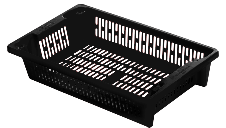 SÓNG MỰC LOẠI 2