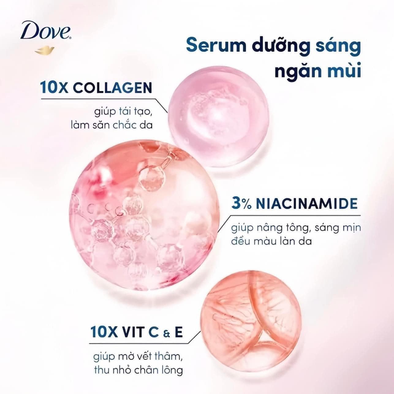 L55 92K LĂN NÁCH NỮ DOVE_thumbnail_5