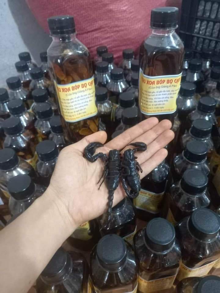 RƯỢU XOA BÓP BỌ CẠP