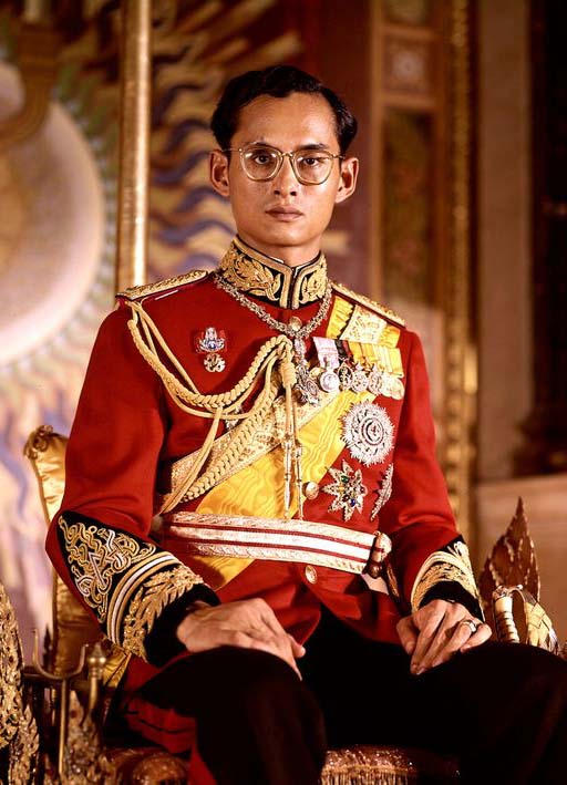 พ่อหลวง ร.๙ (3)