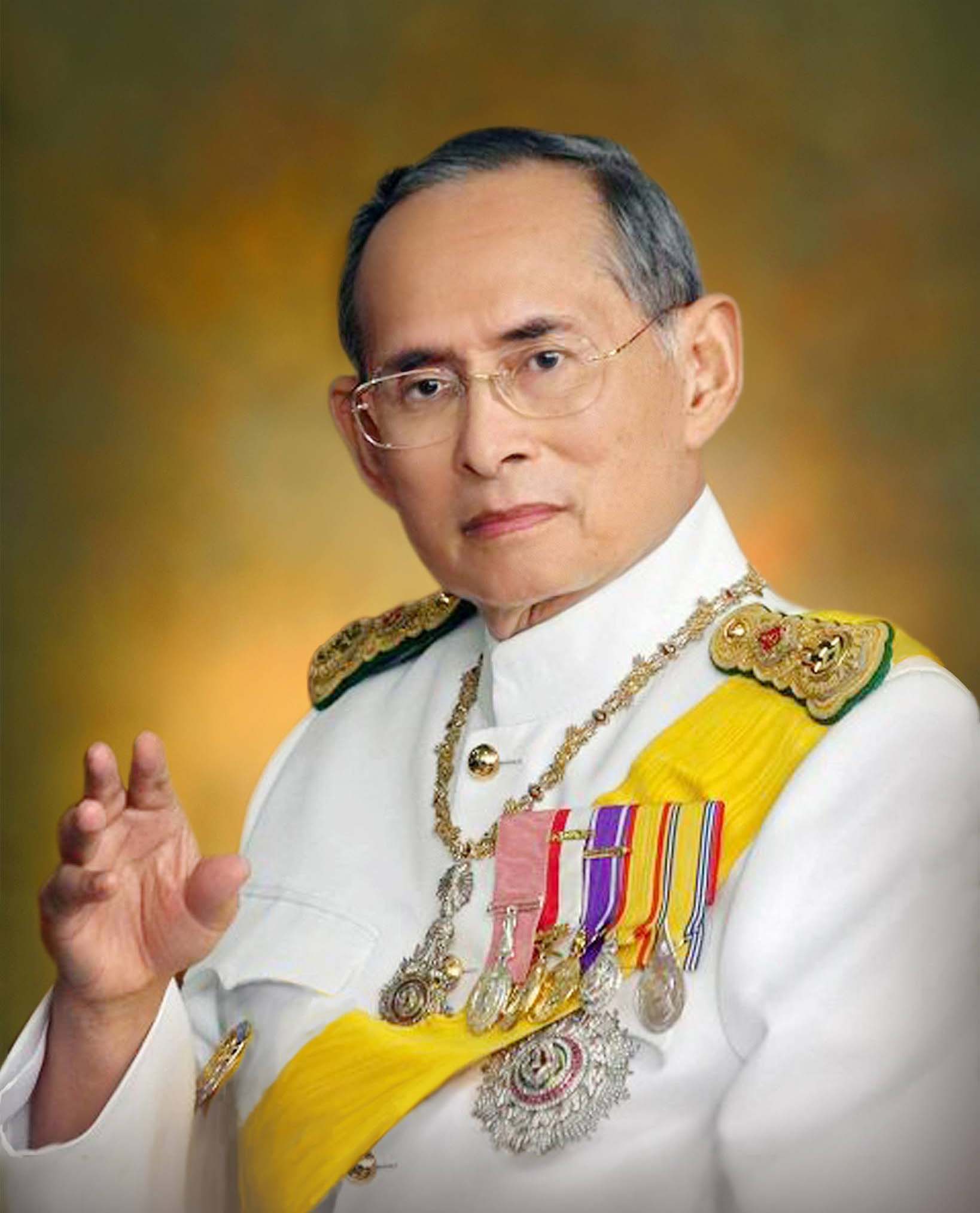 พ่อหลวง ร.๙ (7)