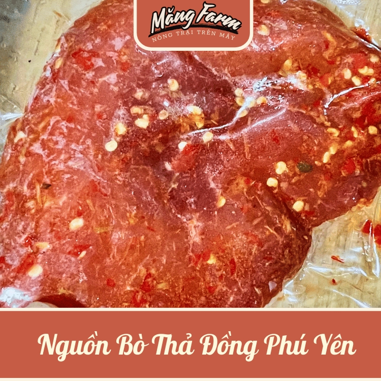 Bò 1 Nắng_7