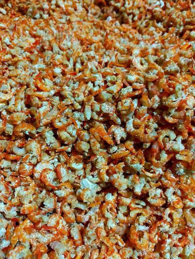 Product image - Tôm Khô Rậy Biển