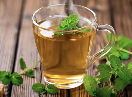 Product image - Trà Bạc Hà Nóng