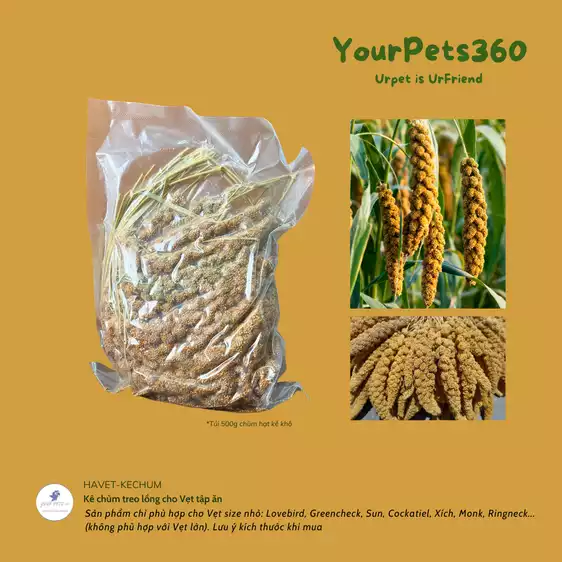 Product image - Kê chùm treo lồng cho Vẹt tập ăn*