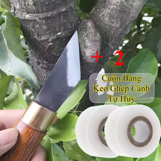 Product image - Combo dao ghép + Băng Keo