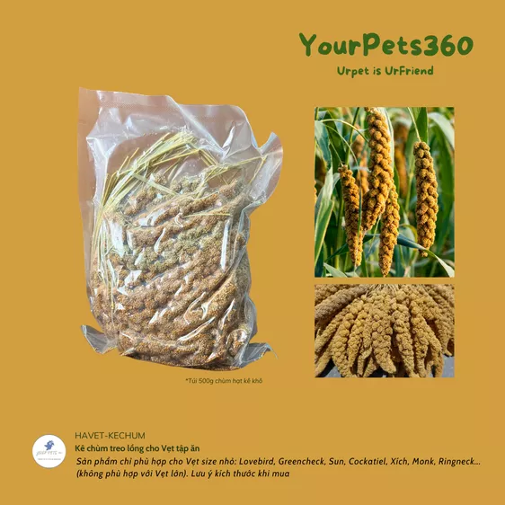 Product image - Kê chùm treo lồng cho Vẹt tập ăn*