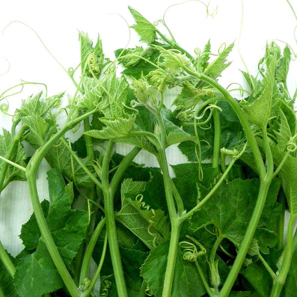 Product image - B09 - Hạt hạt giống Bí Siêu Ngọn