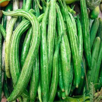 Product image - B49 - Hạt giống Lặc Lè - Lặc Lày trái ngắn 20-30cm