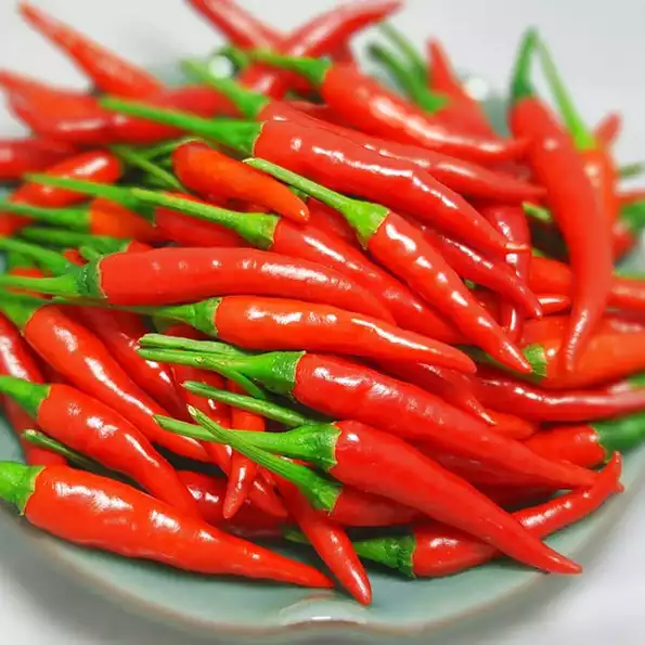 Product image - B63 - Hạt giống Ớt Cựa Gà - Ớt Hiểm loại cay F1