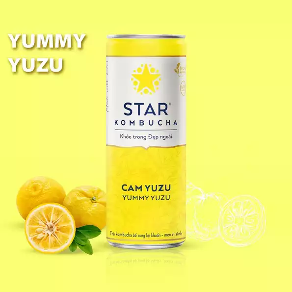 Product image - Trà Lên Men Star Kombucha - Lon 250ml