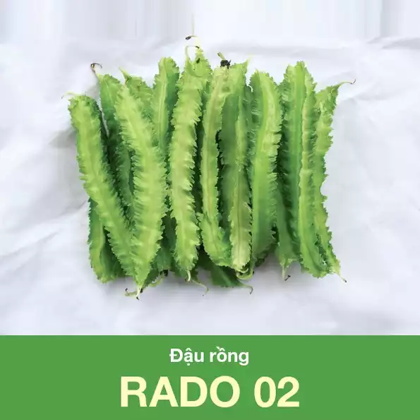 Product image - B06 - Hạt giống Đậu Rồng Cao Sản F1