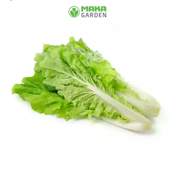 Product image - A19 - Hạt giống Cải Bẹ Dún F1