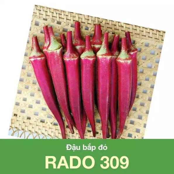Product image - B11 - Hạt hạt Đậu Bắp Đỏ F1