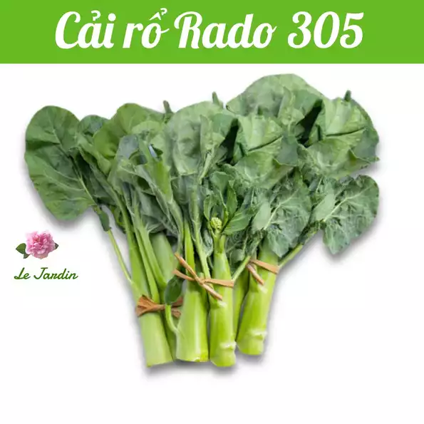 Product image - A12 - Hạt hạt Cải Rổ - Cải Làn