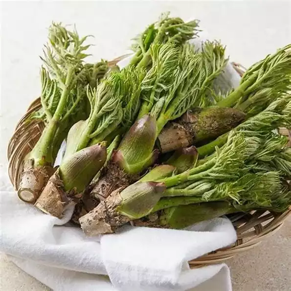 Product image - Hạt Giống Rau Mầm Gai