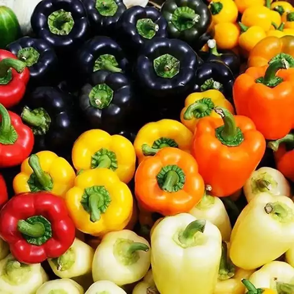 Product image - B62 - Hạt giống Ớt Chuông Mix (Ớt Chuông Trái Cây Mix)