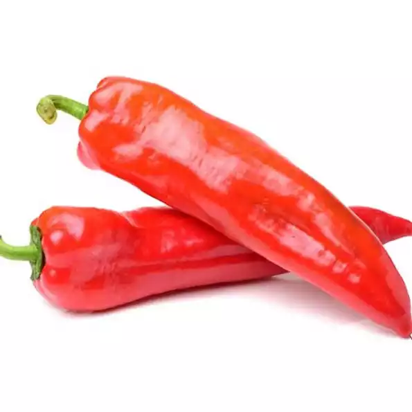 Product image - B67 - Hạt giống Ớt Sừng
