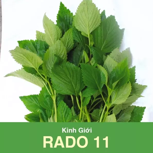 Product image - E08 - Hạt giống Rau Kinh Giới