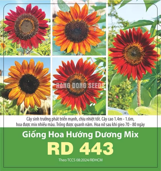 Product image - H16 - Hạt giống hoa Hướng Dương Mix Màu