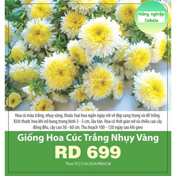 Product image - H11 - Hạt giống hoa Cúc Trắng Nhuỵ Vàng