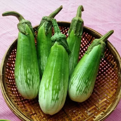 Product image - B37 - Hạt giống Cà Phổi Sọc Lem F1