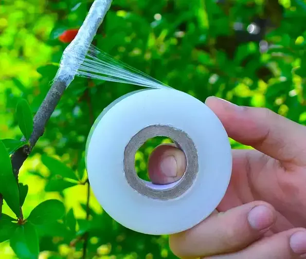 Product image - Băng Keo Ghép Cành