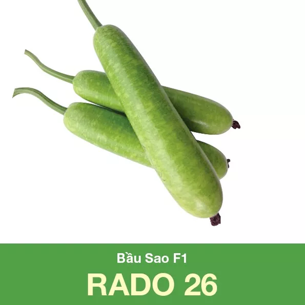 Product image - B01 - Hạt giống Bầu Sao F1