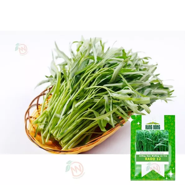 Product image - G02 - Hạt hạt Rau Muống Lá Tre