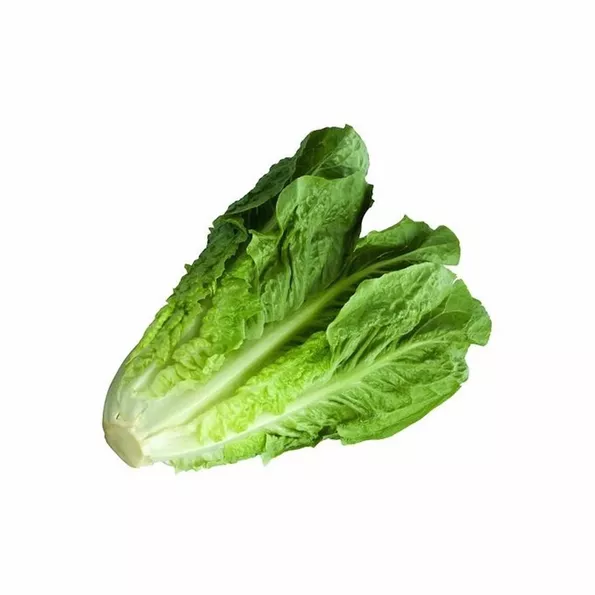 Product image - A15 - Hạt hạt Xà Lách Giòn Lá Dài ROMA