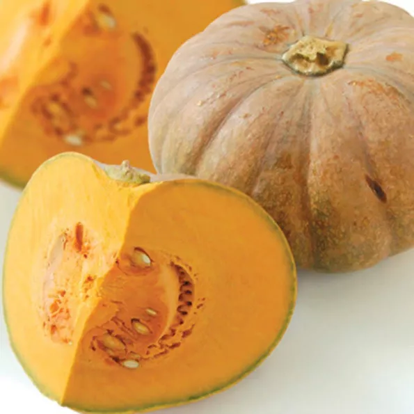 Product image - B21 - Hạt giống Bí Đỏ Tròn - Bí Ngô