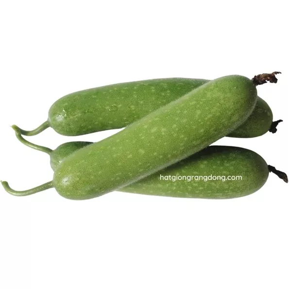 Product image - B17 - Hạt giống Bí Đao Chanh F1