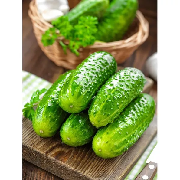 Product image - B41 - Hạt giống Dưa Leo Chùm F1 - Dưa Chuột Chùm F1