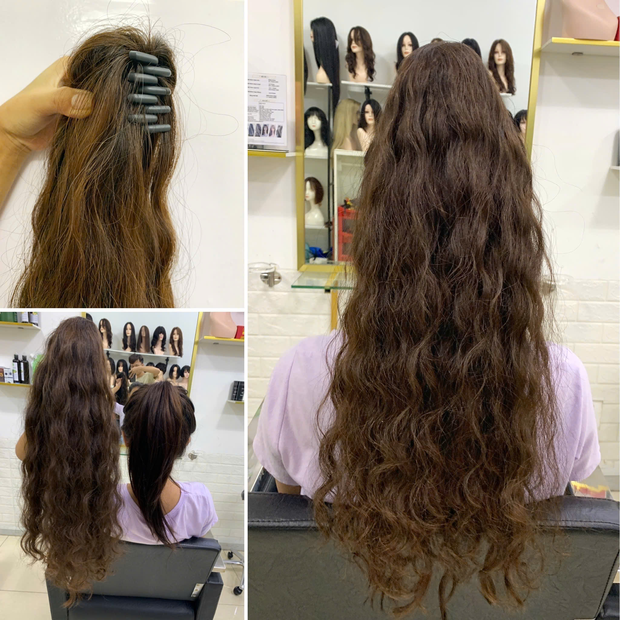 Quặm Đuôi Ngựa_thumbnail_1