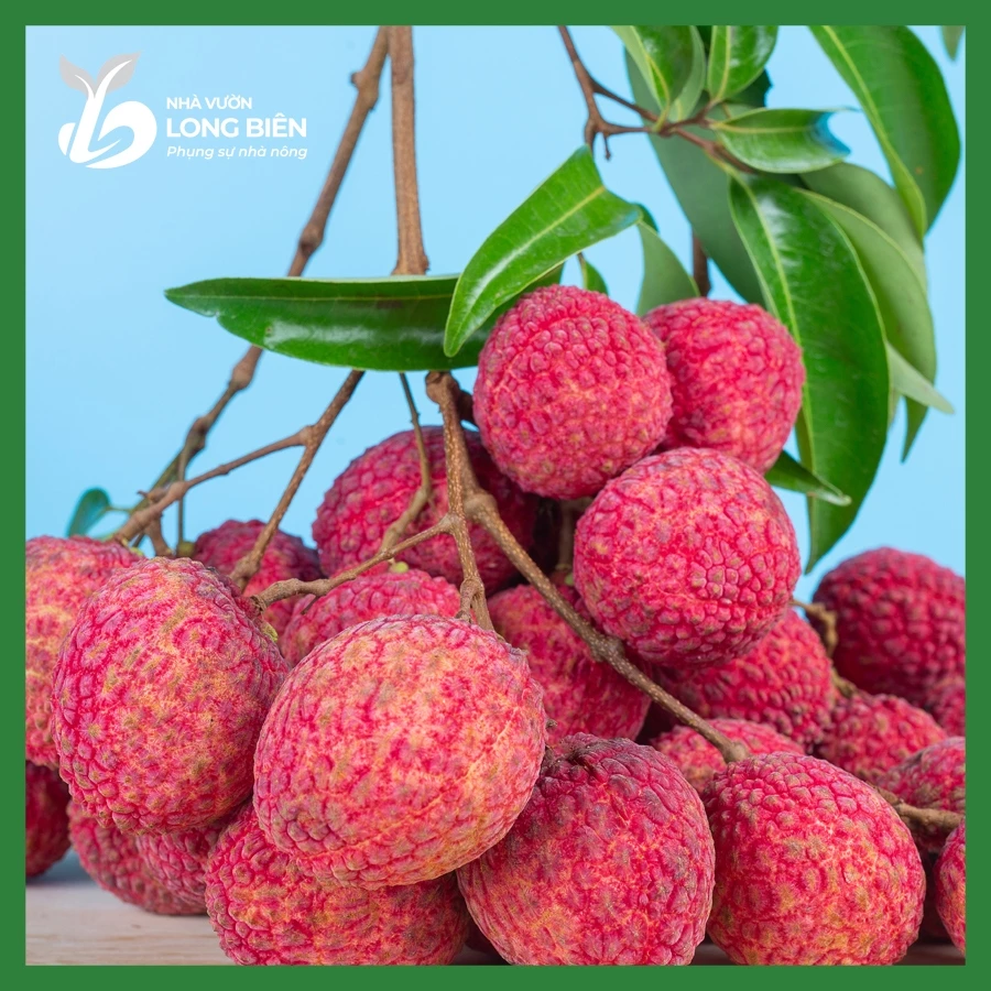 Vải Thiều_thumbnail_4