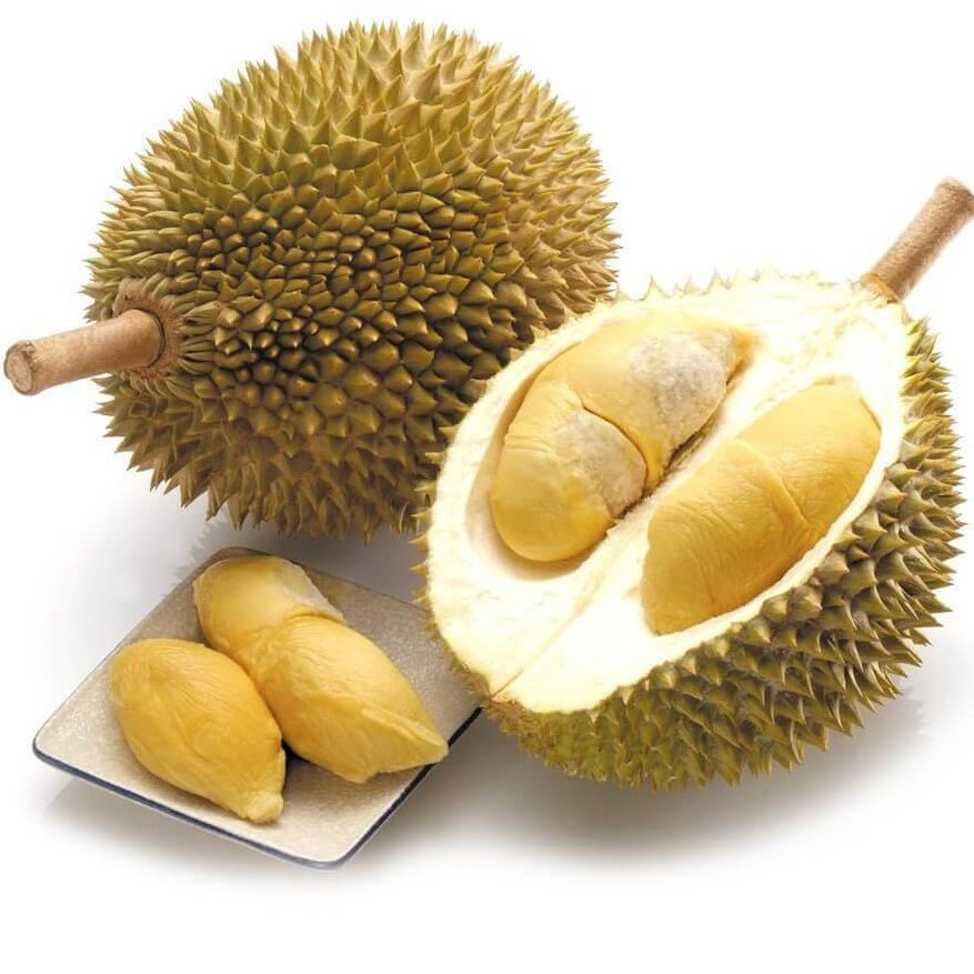 Sầu riêng Thái_thumbnail_2